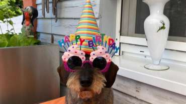 Happy Birthday Bergl